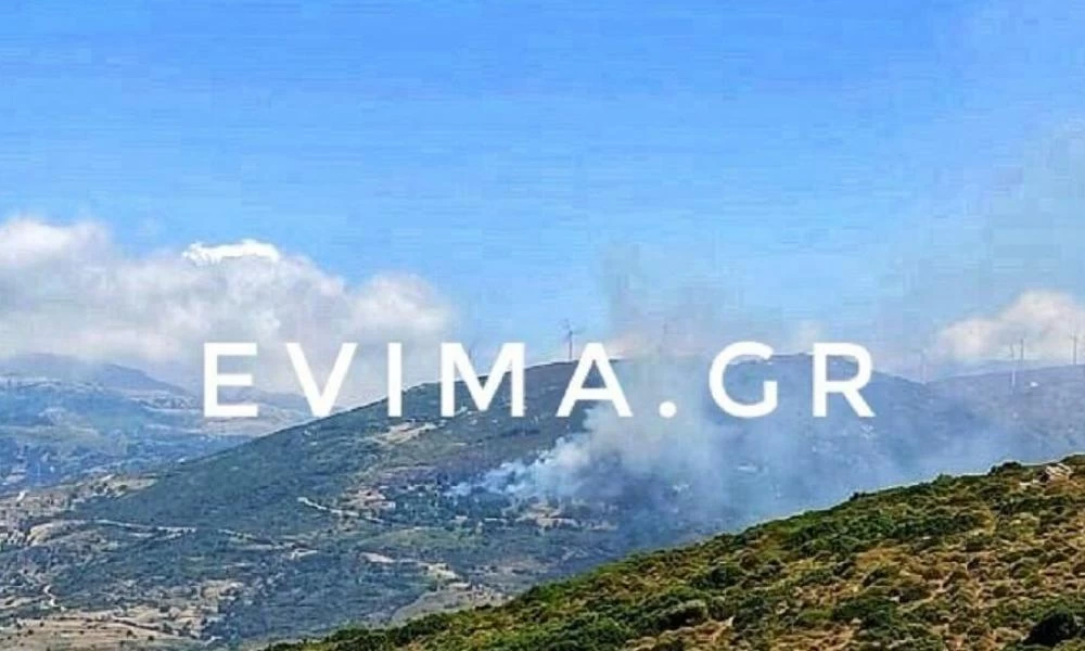 Φωτιά στην Κάρυστο: Συνελήφθη γυναίκα για εμπρησμό – Υπό μερικό έλεγχο η πυρκαγιά